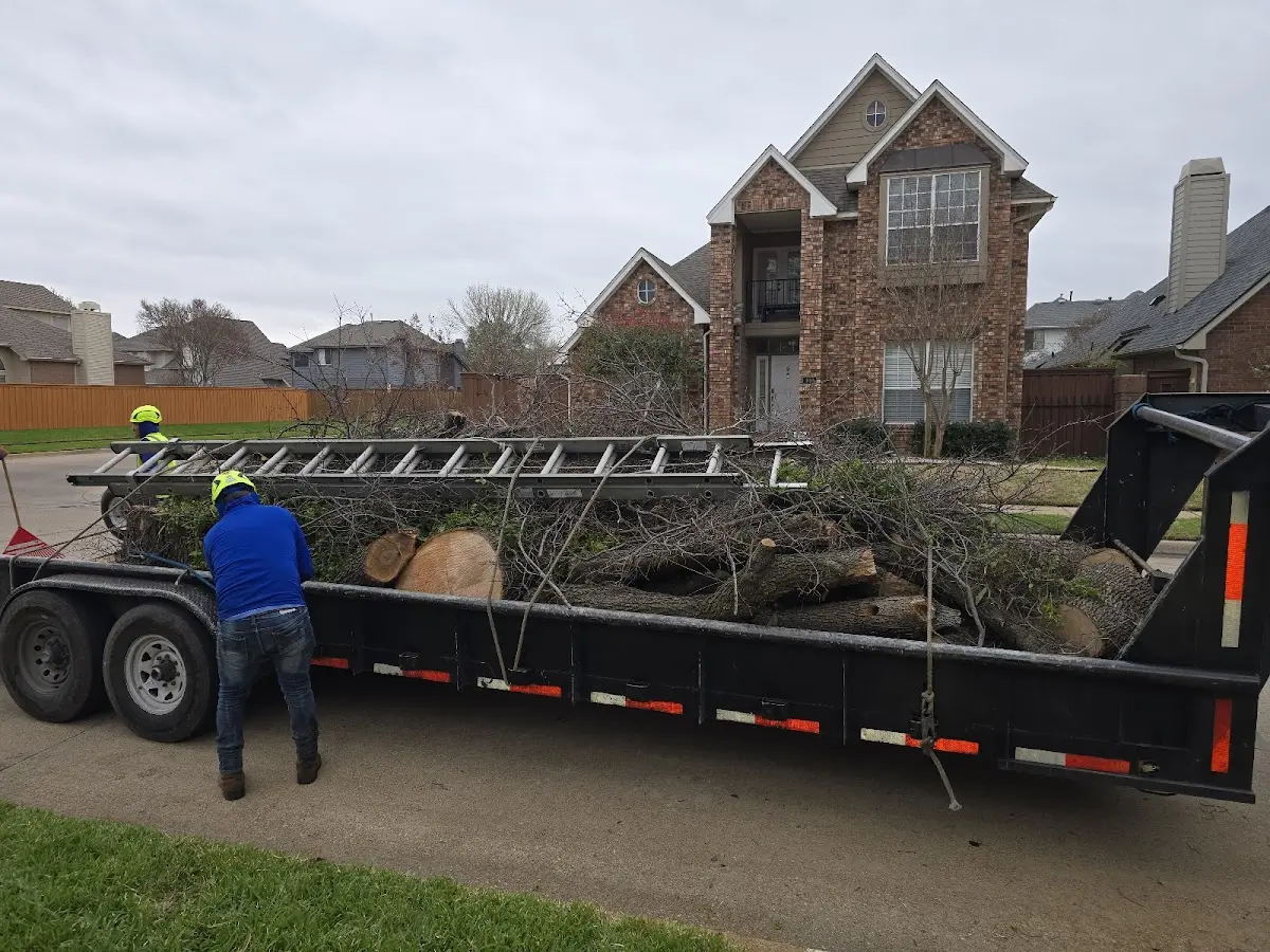 Expert Tree Pest Control with proper safety equipment in Hickory Flat